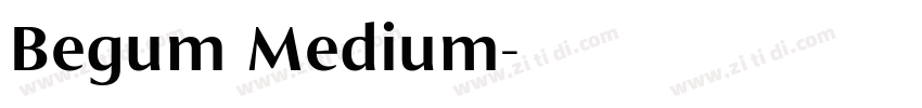 Begum Medium字体转换